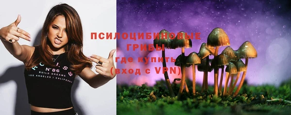 бутират Баксан