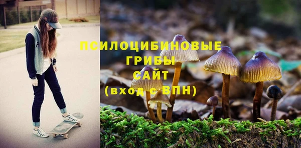 бутират Балахна
