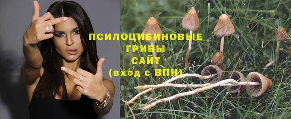 герыч Арсеньев